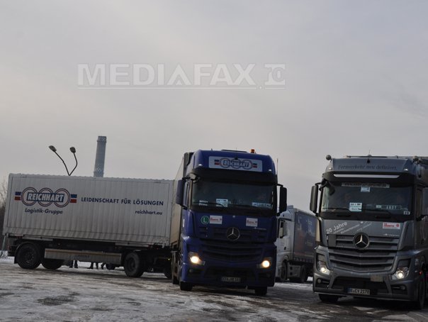 Imaginea articolului Peste 30 de imigranţi dintr-un camion înmatriculat în România, reţinuţi la graniţa bulgaro-turcă