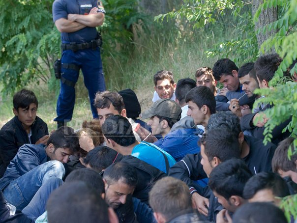 Imaginea articolului 60 de imigranţi au pătruns ILEGAL în România din Serbia. VIDEO