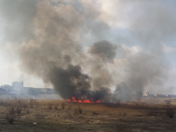 Imaginea articolului INCENDIU în Delta Văcăreşti din Capitală - ISU: Focul se întinde pe o suprafaţă de aproximativ 3.000 de metri pătraţi. 