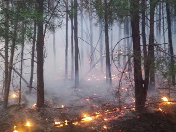 Imaginea articolului Incendiu puternic lângă Braşov