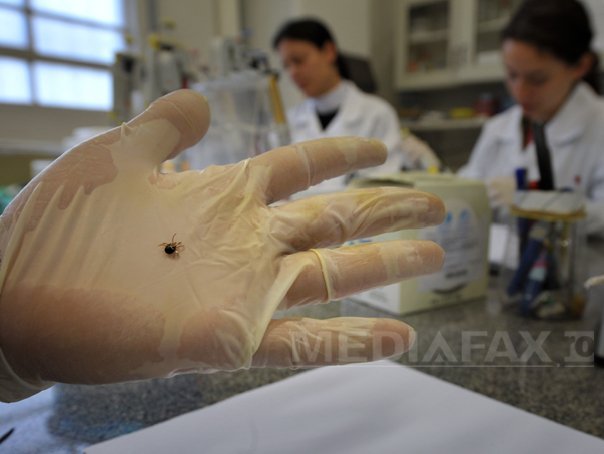Imaginea articolului Argeş: Două persoane diagnosticate cu boala Lyme şi alte patru suspecte, în spital