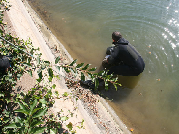 Imaginea articolului Pompierii au găsit marţi dimineaţa corpurile tinerilor care s-au înecat duminică în râul Suceava
