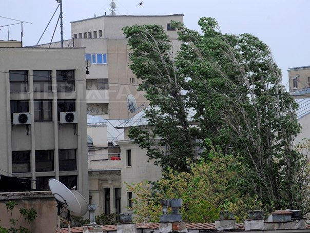 Imaginea articolului Hunedoara: Copaci rupţi şi acoperişuri smulse de vânt în urma unei furtuni