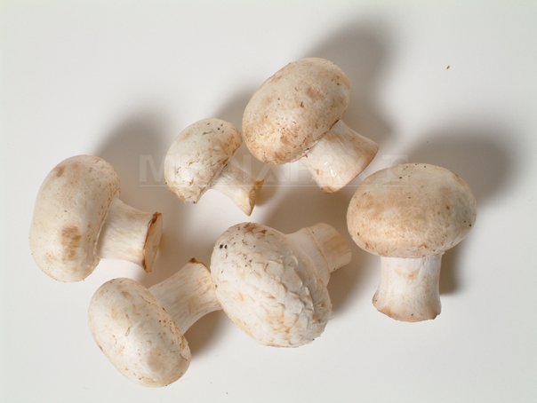 Imaginea articolului Treiprezece hunedoreni au ajuns la spital după ce au mâncat ciuperci culese din pădure