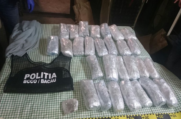 Imaginea articolului Mii de pastile de amfetamină, zeci de grame de cocaină şi trei kg de cannabis, găsite de poliţişti