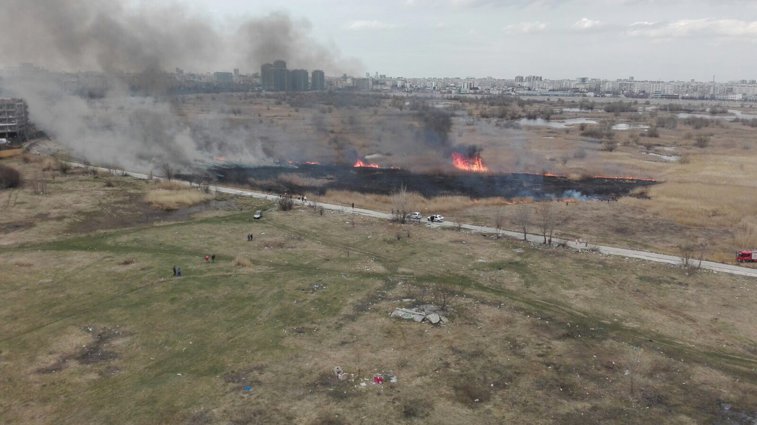 Imaginea articolului GALERIE FOTO Incendiul de vegetaţie din Delta Văcăreşti a fost stins/ Un hectar de teren a fost cuprins de flăcări