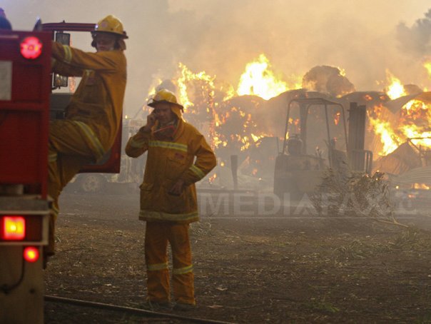 Imaginea articolului IGSU: În ultimele şase zile, pompierii militari au stins peste 600 de incendii