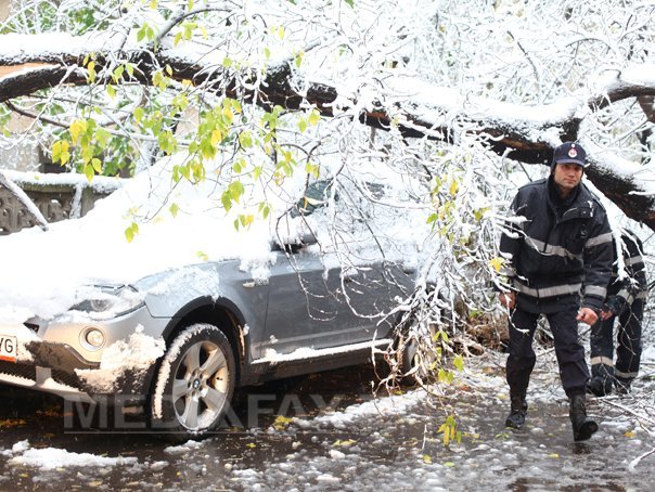 Imaginea articolului Maşini avariate la Braşov după ce au căzut peste ele copaci. Cinci străzi sunt blocate de arbori