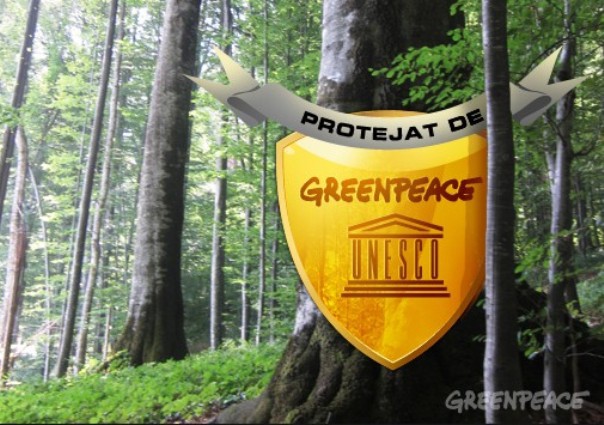 Imaginea articolului Scrisoare Greenpeace către preşedinte şi CSAT: Aplicaţia „Inspectorul pădurii” nu trebuie închisă