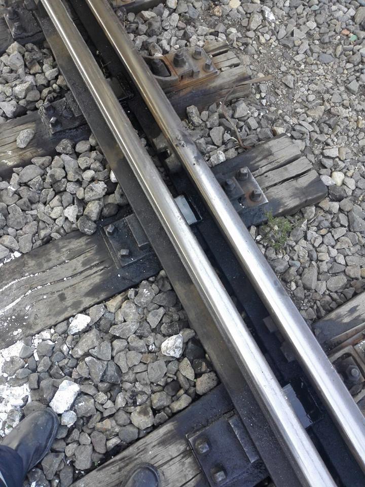 Imaginea articolului TRAGEDIE lângă Bucureşti: O femeie s-a aruncat în faţa trenului împreună cu cei trei copii ai săi. Un bilet de adio, găsit de poliţişti/ UPDATE: Circulaţia a fost reluată, însă trenurile spre/dinspre litoral circulă cu întârzieri | FOTO