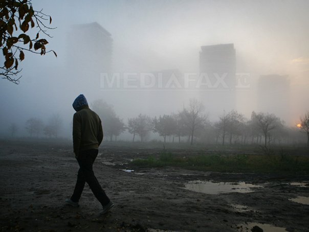 Imaginea articolului Cod galben de ceaţă în Bucureşti şi patru judeţe