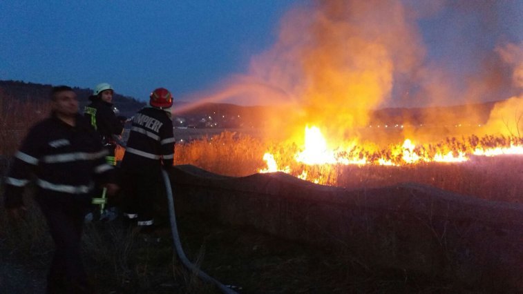 Imaginea articolului Incendiu puternic de vegetaţie uscată în apropierea unei catedrale din Vâlcea | FOTO