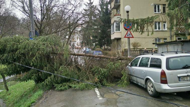 Imaginea articolului Cod GALBEN de vânt puternic. Mii de gospodării fără curent, fire electrice rupte şi copaci căzuţi pe maşini în Mureş/ Parcuri ÎNCHISE în Craiova