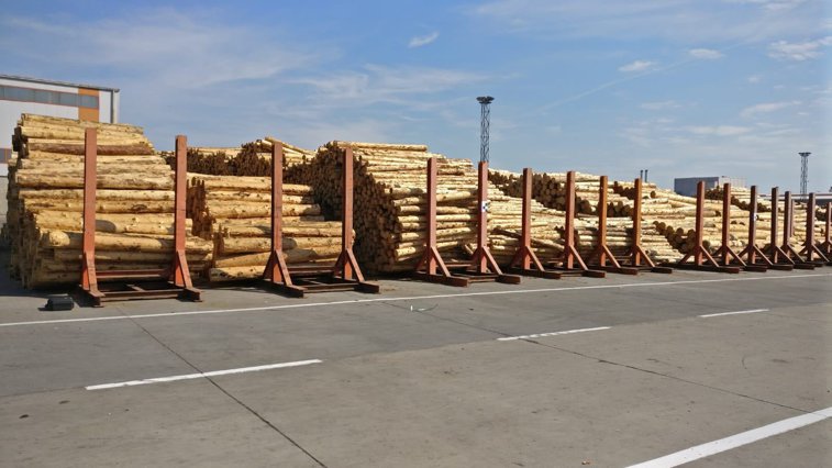 Imaginea articolului Percheziţii la sedii ale firmei Schweighofer Holzindustrie, într-un dosar privind afaceri ilegale cu lemn. Prejudiciul, estimat la 25 de milioane de euro / Reacţia Schweighofer Holzindustrie FOTO