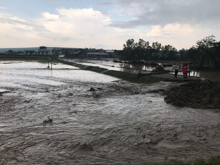Imaginea articolului FURTUNILE provoacă dezastru în ţară: Trei persoane din Neamţ, între care un bebeluş, salvate după ce casa le-a fost măturată de ape/ Zeci de gospodării au fost inundate, în Alba şi Botoşani | FOTO