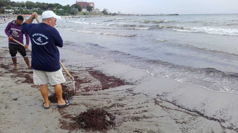 Imaginea articolului Poluare cu reziduuri petroliere la Mangalia. O plajă a fost închisă 