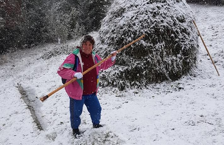 Imaginea articolului Prima ninsoare din această toamnă, şi în judeţul Bacău | FOTO
