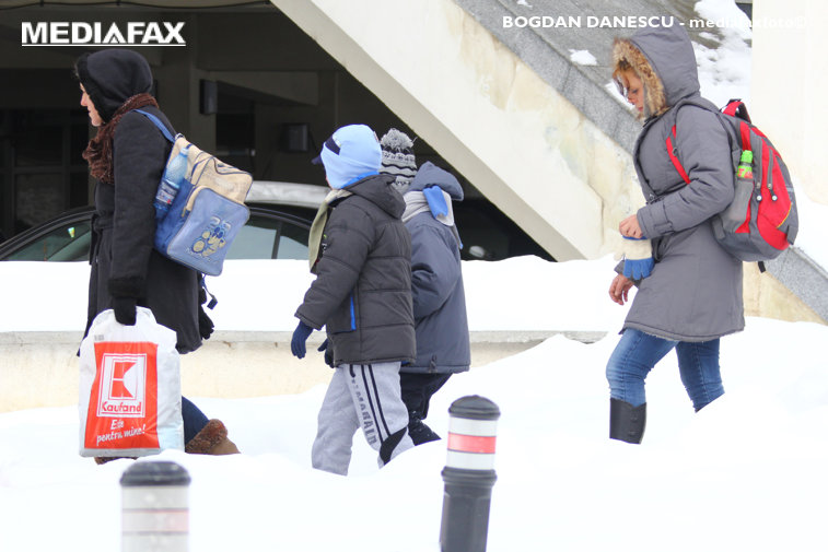Imaginea articolului Şcoli închise din cauza ninsorilor, în judeţele Timiş şi Hunedoara/ Aproape 300 oameni, între care şi deţinuţi, mobilizaţi pentru a curăţa Timişoara de zăpadă