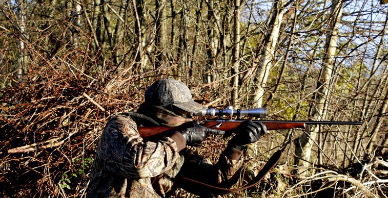 Imaginea articolului Iohannis a sesizat Curtea Constituţională în legătură cu modificarea Legii vânătorii