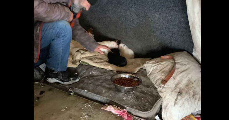 Imaginea articolului Emoţionant: Un bărbat fără adăpost a salvat de la îngheţ o căţeluşă cu şapte pui | FOTO