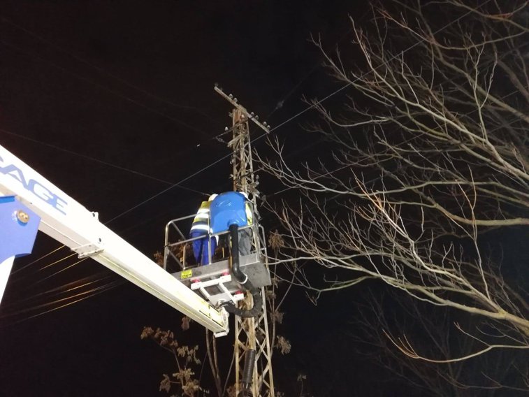 Imaginea articolului O parte a Timişoarei, fără telefonie şi internet, după ce primarul Nicolae Robu a tăiat cablurile | VIDEO