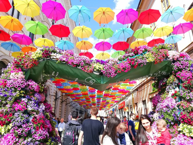 Imaginea articolului Festivalul florilor: Umbre colorate, demonstraţii florale şi „Aleea fericirii” pot fi admirate în centrul Timişoarei | GALERIE FOTO