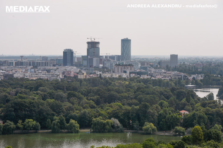 Imaginea articolului Motivul pentru care un parc din Bucureşti se va redenumi după un oraş din SUA