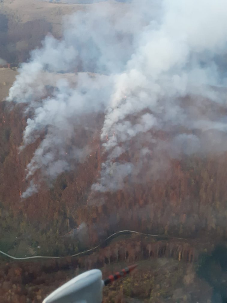 Imaginea articolului Intervenţie a pompierilor din Alba la un incendiu de pădure, în Munţii Apuseni: Flăcările au distrus trei hectare