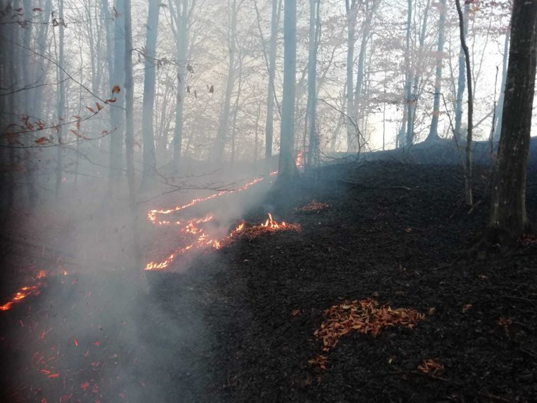 Imaginea articolului Incendiu puternic în Braşov: 10 hectare de vegetaţie uscată şi litieră de pădure sunt cuprinse de flăcări