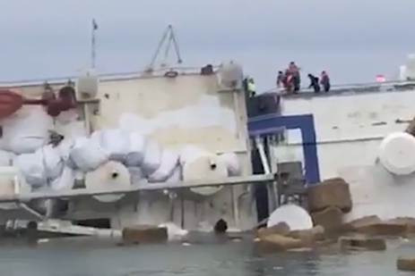 Imaginea articolului VIDEO | Cazul miilor de oi scufundate în Portul Midia. Organizaţie: Animalele moarte plutesc pe apă 