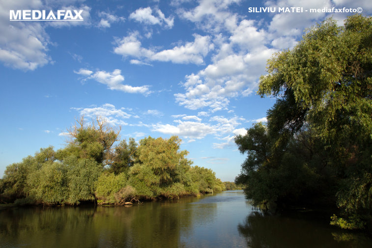 Imaginea articolului Ion Munteanu este noul guvernator al Rezervaţiei Biosferei „Delta Dunării”