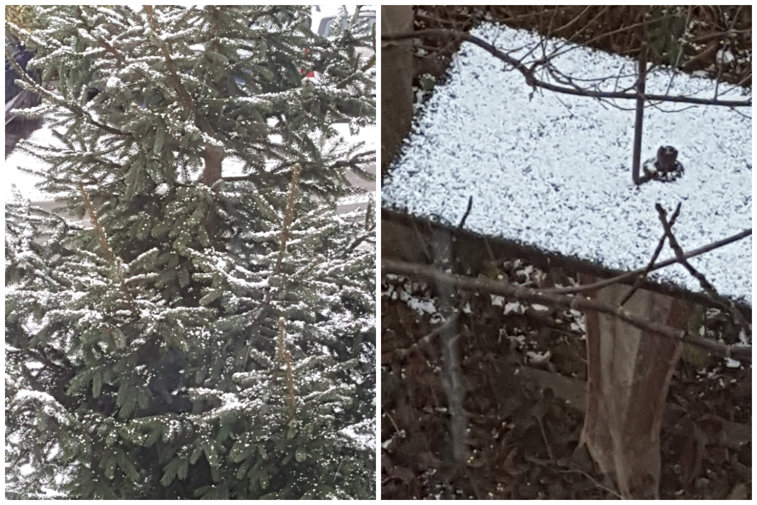 Imaginea articolului Fulgi de zăpadă cât bobul de mazăre, la Sibiu. În doar 5 minute, gheaţa a acoperit totul. VIDEO