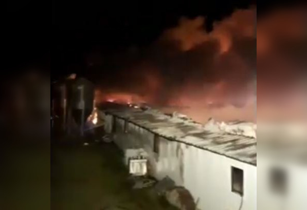 Imaginea articolului Tragedie în Buzău. Sute de animale au murit într-un incendiu violent izbucnit la un adăpost / Prima ipoteză a pompierilor | VIDEO