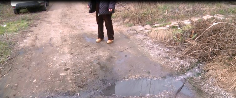 Imaginea articolului VIDEO | O livadă de nuci a fost distrusă de dejecţiile dintr-o conductă. Primar: Ce vrei să fac eu?