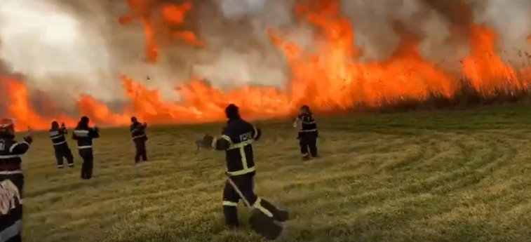 Imaginea articolului VIDEO | Incendiu pe 30 de hectare, într-o pădure de plop alb. Pompierii se tem ca flăcările să nu se extindă rapid din cauza vântului puternic