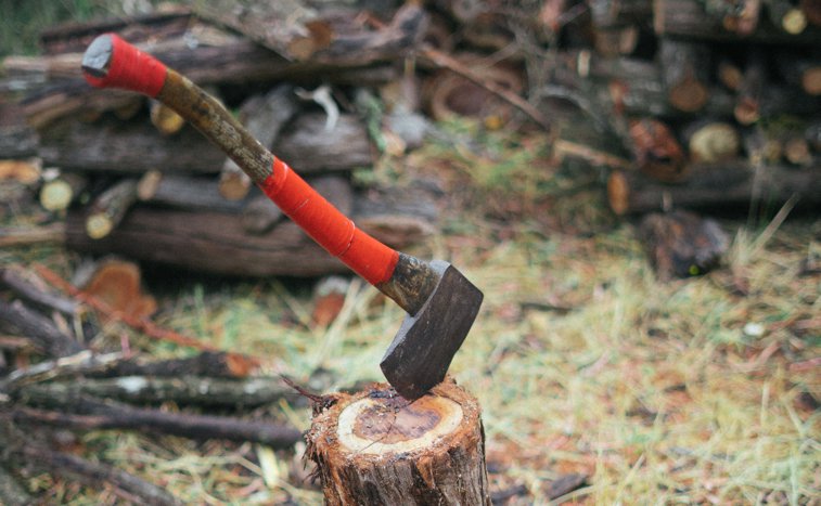 Imaginea articolului Un bărbat din Dâmboviţa a murit după ce a fost lovit de copacul pe care îl tăia ilegal