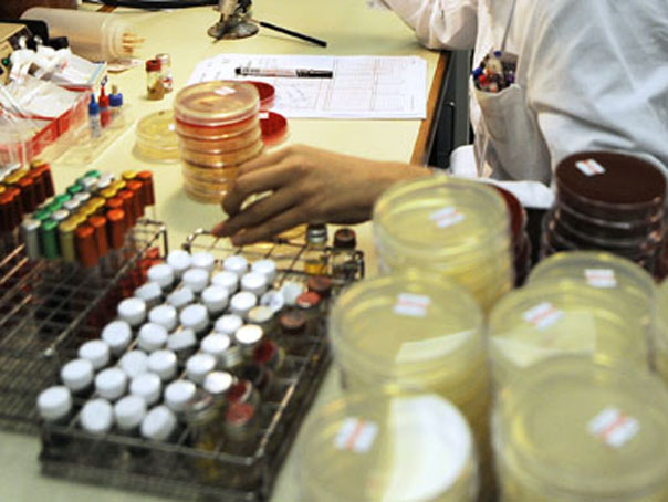 Imaginea articolului Un aparat pentru depistarea gripei porcine va fi folosit la testarea coronavirusului în Brăila