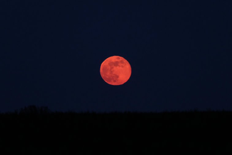 Imaginea articolului Superluna roz. Fenomenul spectaculos care va fi vizibil pe cer, în noaptea de 7 spre 8 aprilie