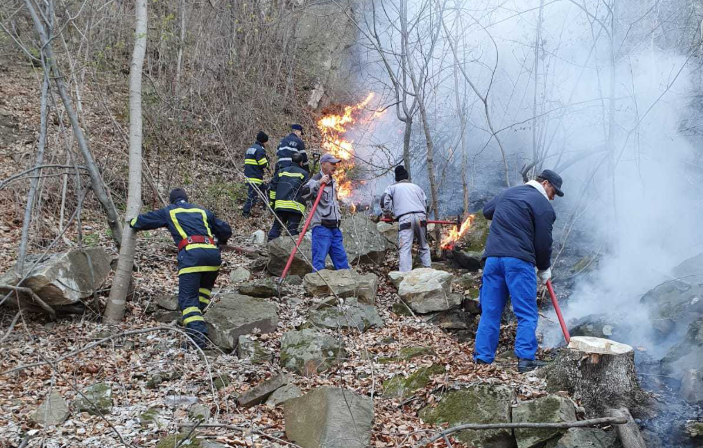 Imaginea articolului GALERIE FOTO: Zeci de pompieri şi voluntari se luptă, de trei zile, să stingă un incendiu de pădure la Bacău