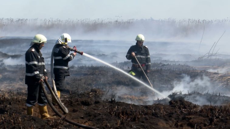 Imaginea articolului Imagini de coşmar cu incendiul care a poluat aerul din Bucureşti. Pompierii luptă cu focul mocnit care a pornit acum câteva zile