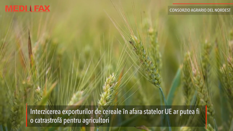 Imaginea articolului Fermierii români: Nu se justifică interzicerea exporturilor