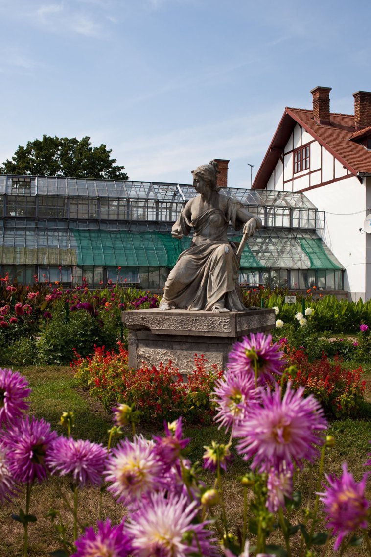 Imaginea articolului Grădina Botanică din Cluj-Napoca, redeschisă după două luni. „Raiul clujenilor” i-a lipsit nespus Leliei, de 82 de ani