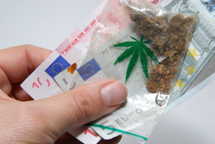Imaginea articolului Cum poţi face bani din marijuana, legal?