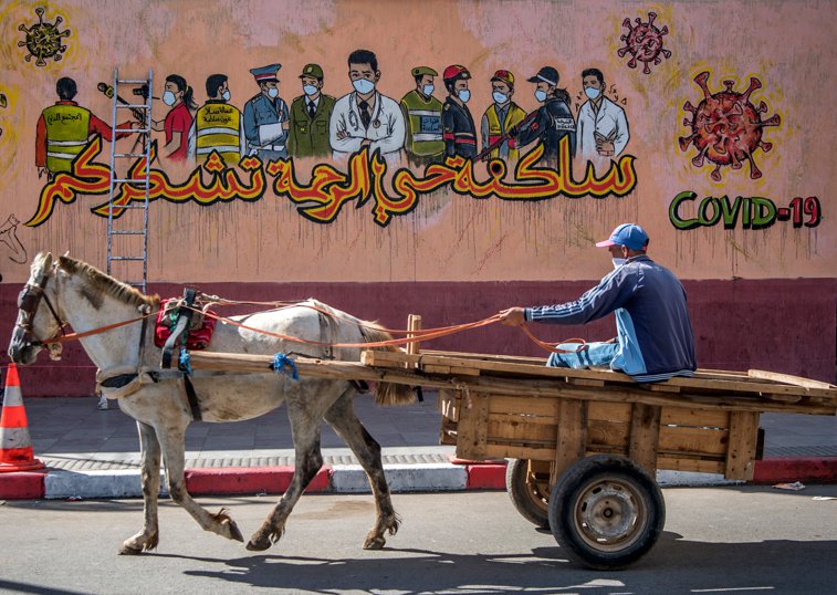 Imaginea articolului Turismul din Maroc, devastat de criza Covid-19. Cu buzunarul gol, oamenii sunt nevoiţi să-şi vândă caii, principala sursă de venit