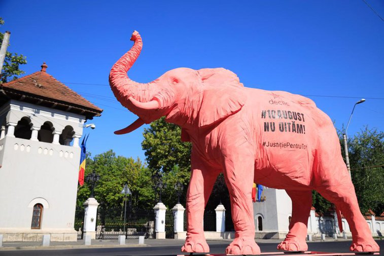 Imaginea articolului Un elefant roz, dus la instituţiile responsabile pentru tergiversarea anchetei „10 august” de un ONG