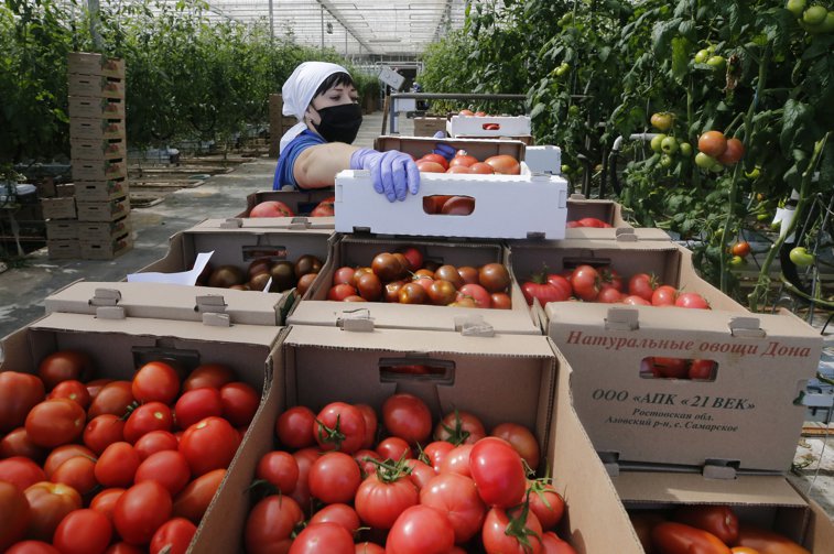 Imaginea articolului Mănânci sănătos în pandemie cu ajutorul producătorilor locali care îţi livrează legumele şi fructele direct acasă