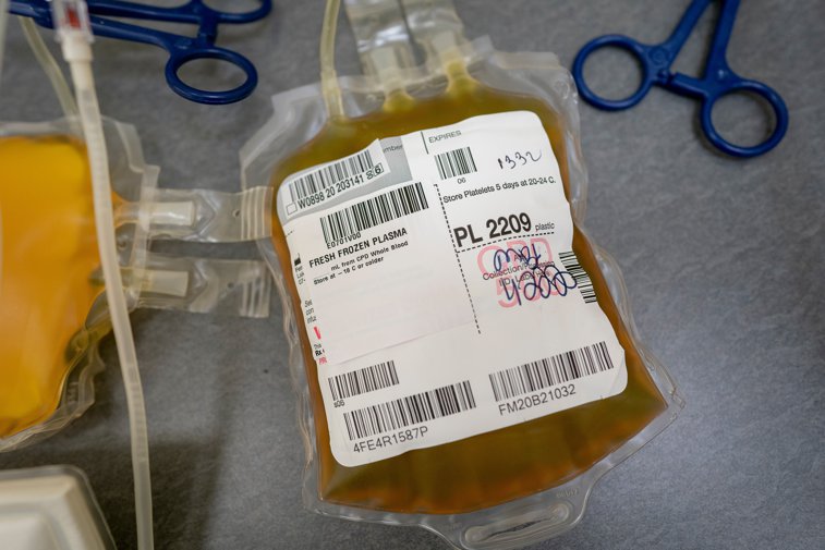 Imaginea articolului România nu poate produce medicamente din plasma de la donatorii vindecaţi de Covid 