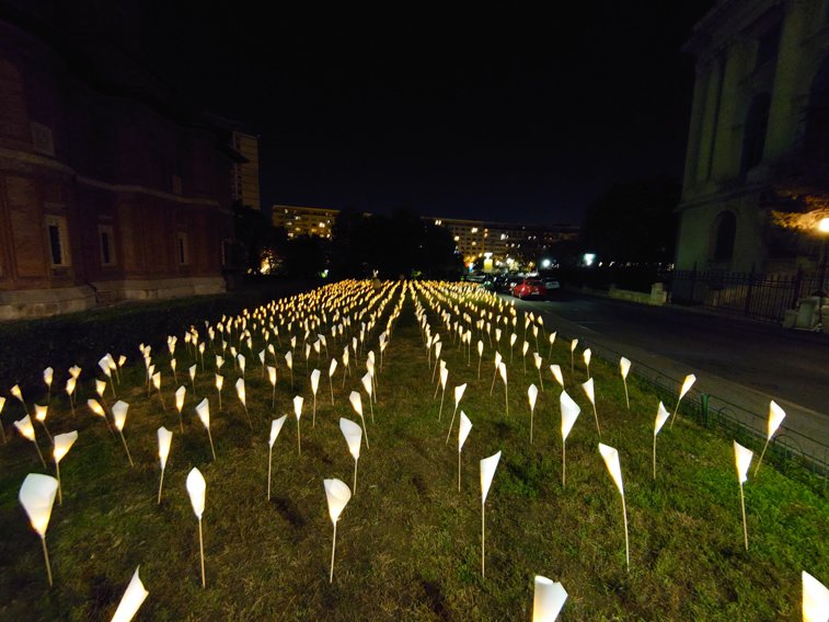 Imaginea articolului În Piaţa Revoluţiei sunt "aprinse" 1166 de flori în memoria victimelor Revoluţiei