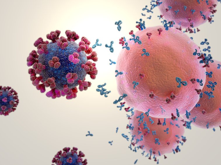 Imaginea articolului Un an de la prima infecţie cu SARS-CoV-2 în România. Tânărul a luat virusul de la un italian şi, după câteva luni, s-a reinfectat
