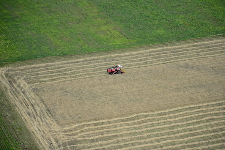 Imaginea articolului Primii 20 de proprietari de terenuri deţin 250.000 de hectare, adică 2,5% din suprafaţa arabilă a României. Cine sunt aceştia